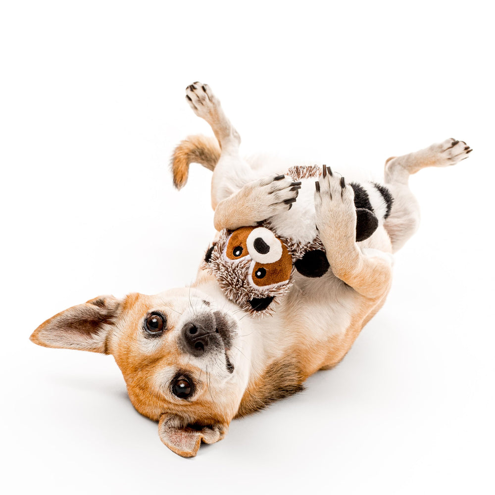 Playology duo peluches dans leur emballage prêt à offrir, stimulation olfactive incluse