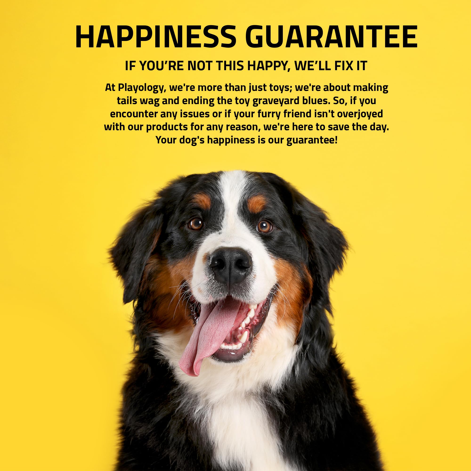 Playology corde en parc avec chien jouant, encourage activité et stimulation mentale