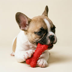 Playology détail du couineur offrant stimulation ludique au chiot