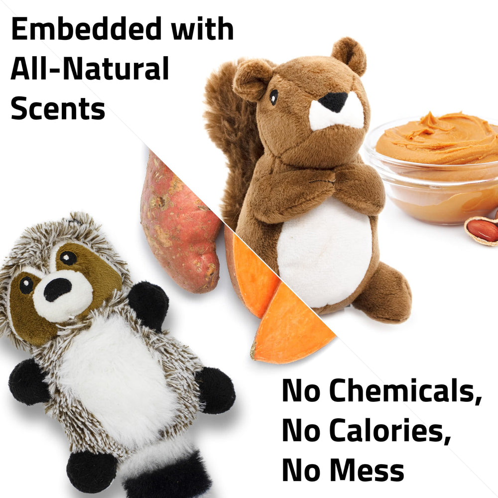 Chien petit jouant avec peluche Playology montrant engagement et amusement