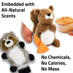 Chien petit jouant avec peluche Playology montrant engagement et amusement