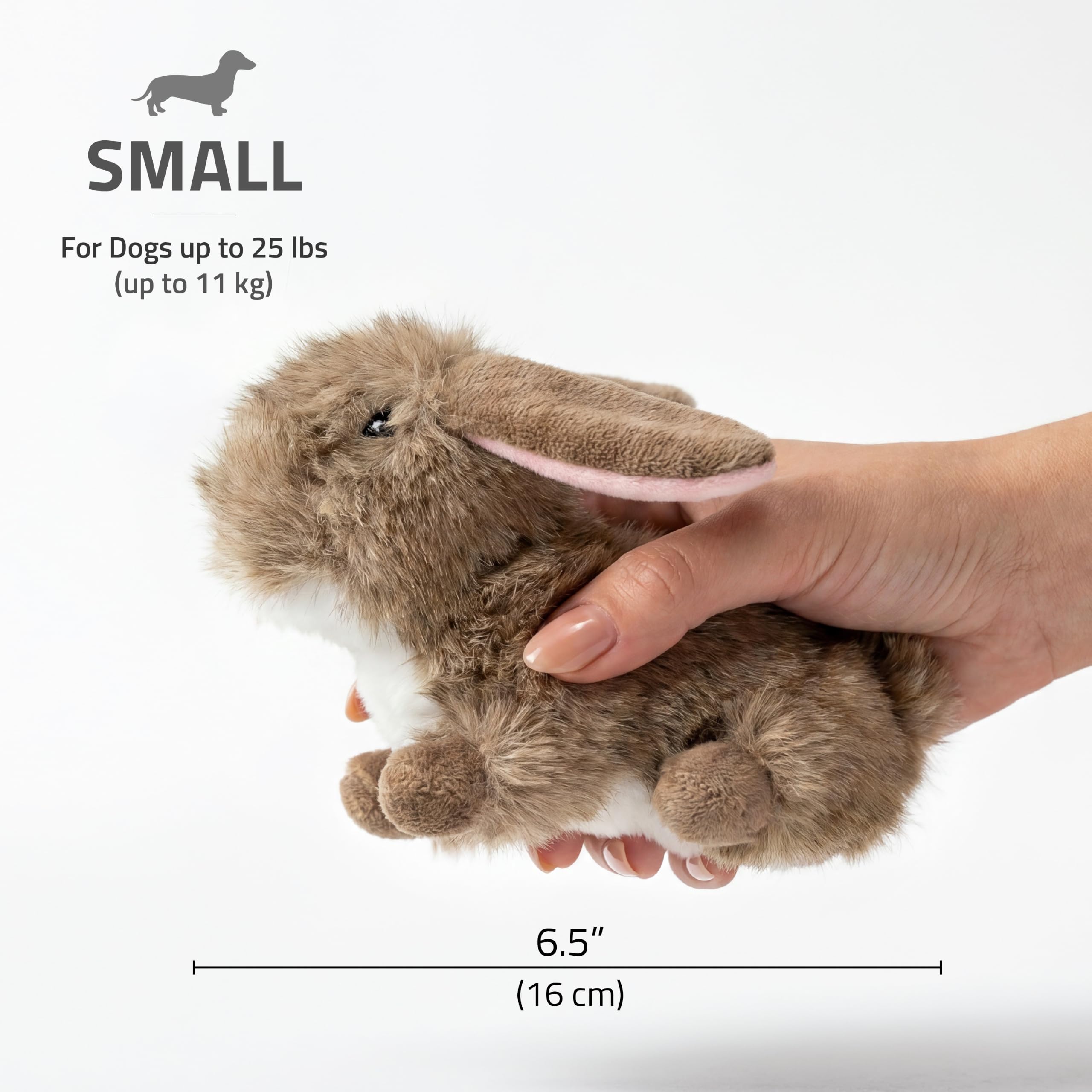 Playology Plush Bunny chien jouant avec la peluche démontrant engagement prolongé