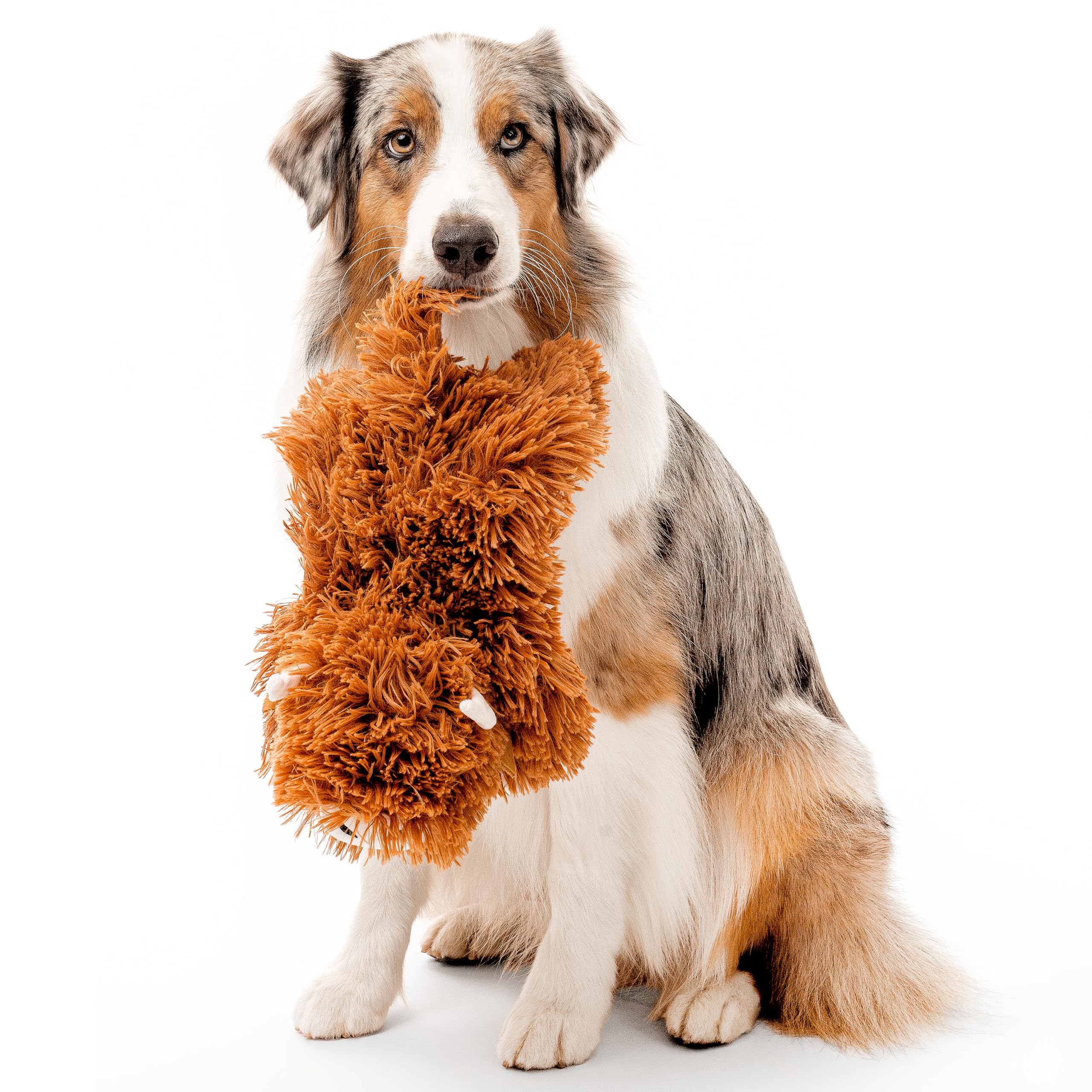 Playology peluche en main illustrant taille jumbo adaptée aux grands chiens
