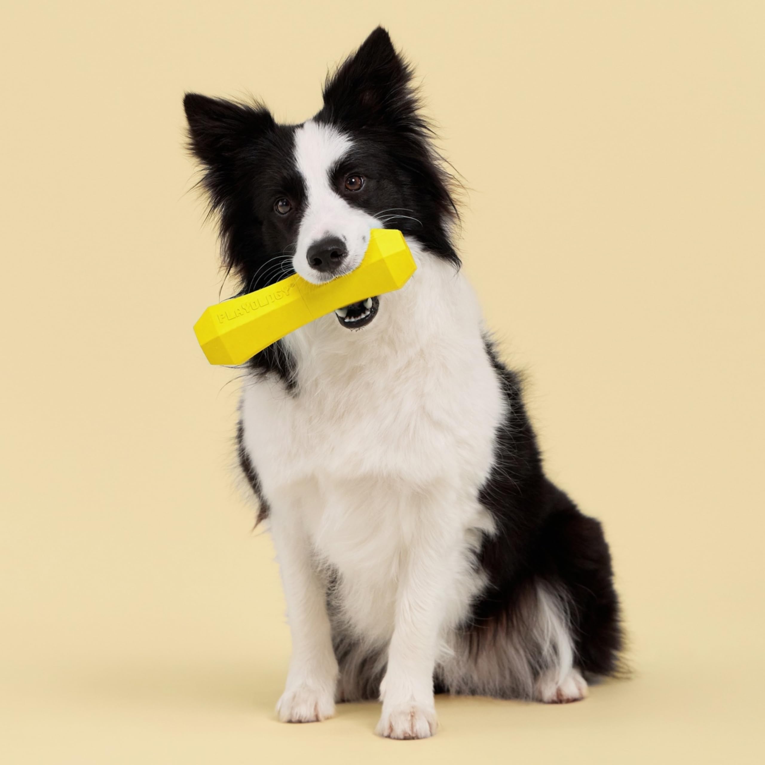 Playology Squeaky Chew Stick flottant dans l'eau pour jeux aquatiques
