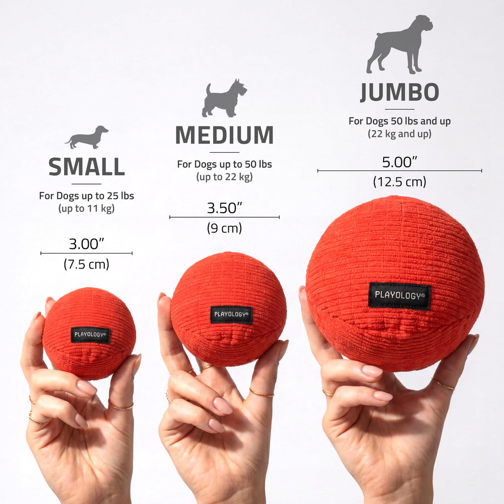 Playology comparaison de taille avec une main pour évaluer l'échelle