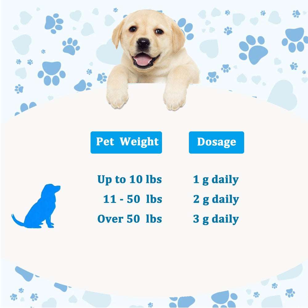 Pleasantly Warm scène de vie chien heureux illustrant mobilité et vitalité