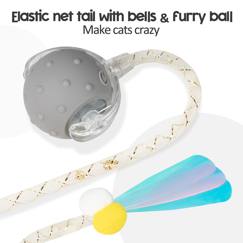 PLITTPETTS chat jouant avec la balle pour exercice actif et amusement