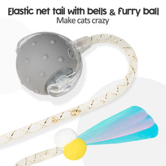 PLITTPETTS chat jouant avec la balle pour exercice actif et amusement