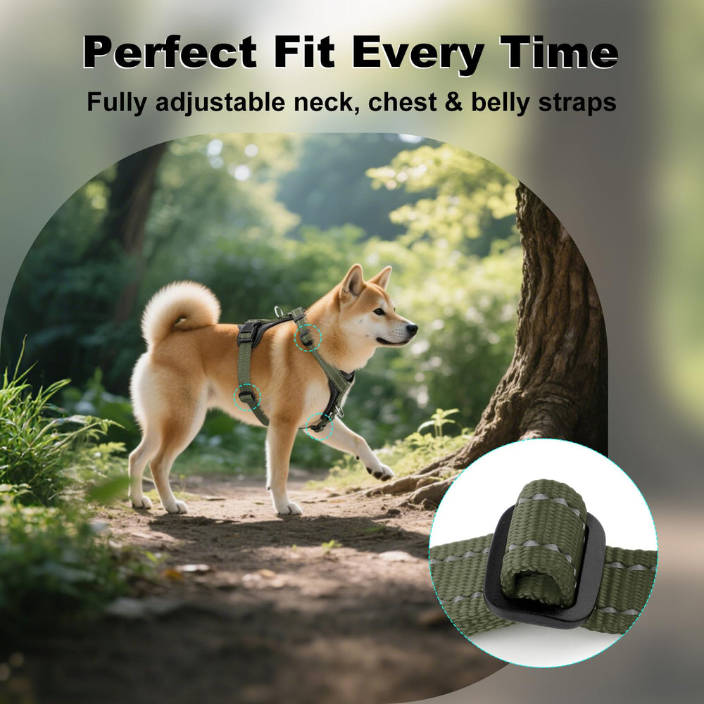 Plutus Pet boucles rapides facilitant mise en place instantanée