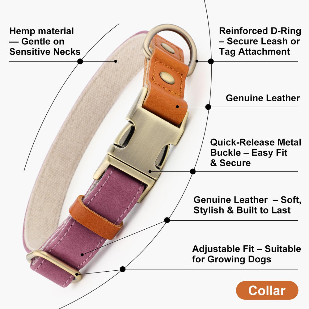 Plutus Pet anneau d'attache robuste pour laisse et accessoires