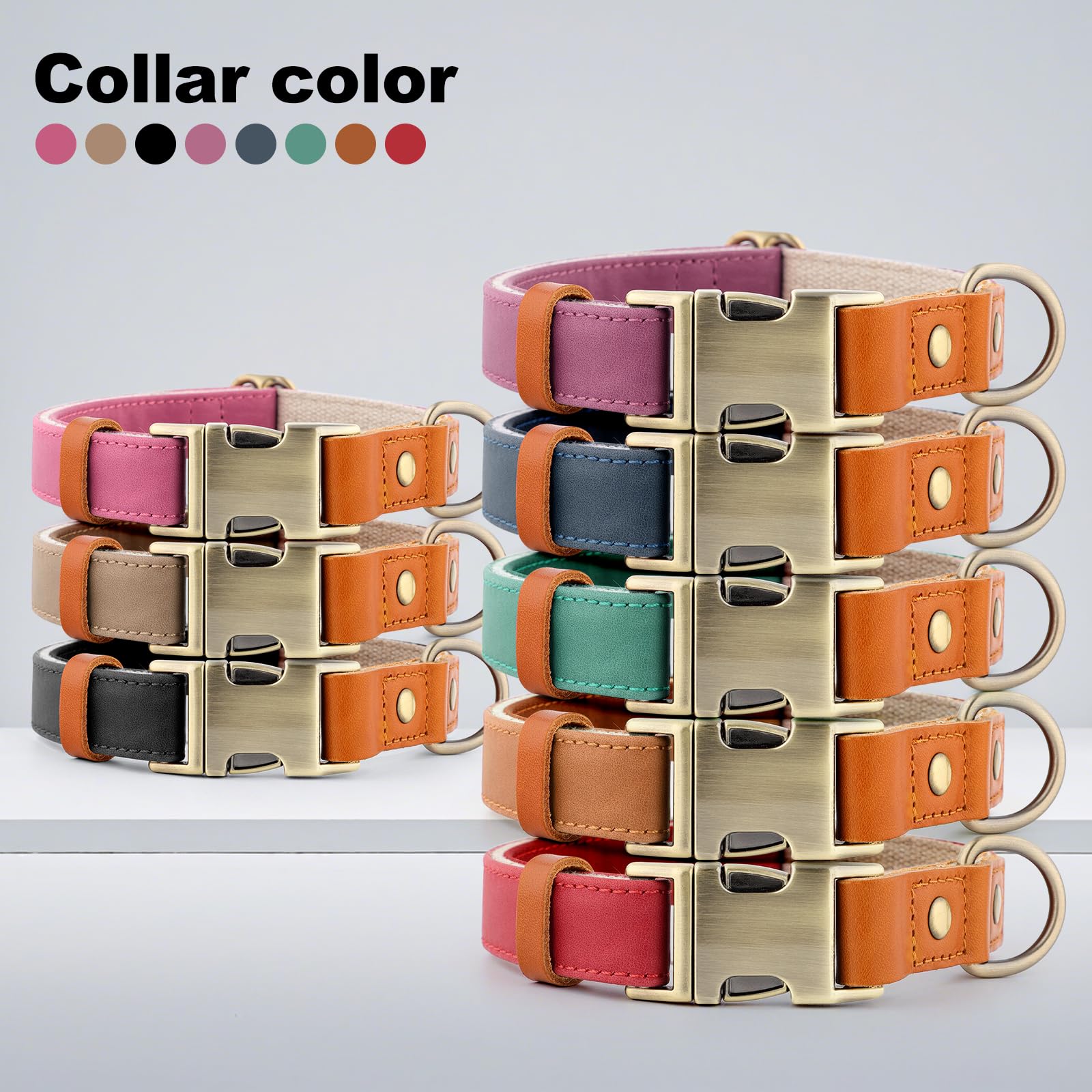 Plutus Pet collier en contexte lifestyle pratique et esthétique
