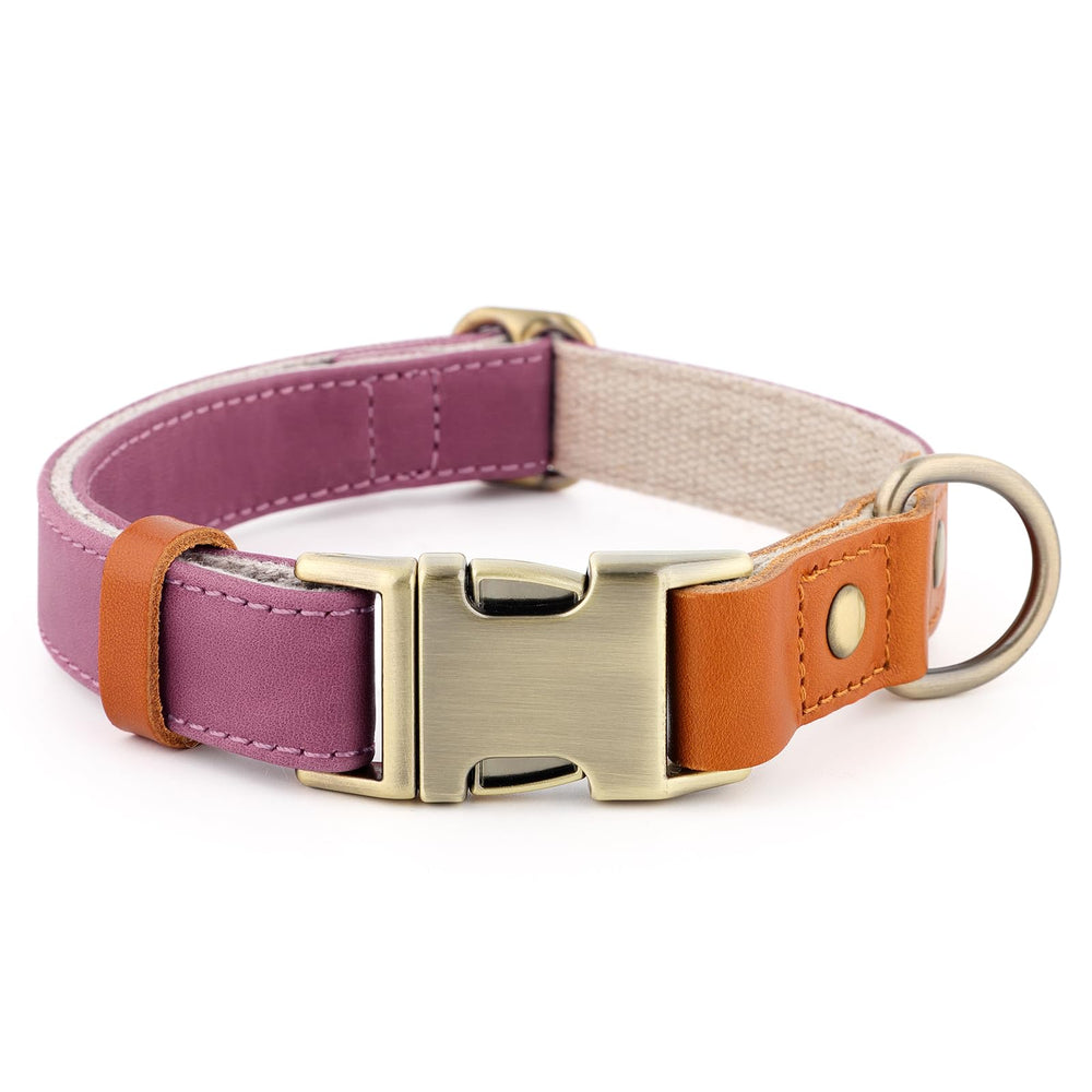 Plutus Pet collier face avant élégant et confortable pour promenades