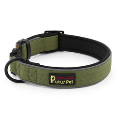 Plutus Pet collier face avant montrant design robuste et réglages pratiques