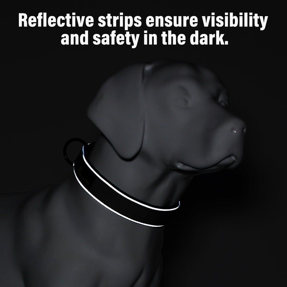 Plutus Pet bandes réfléchissantes visible la nuit augmentant visibilité