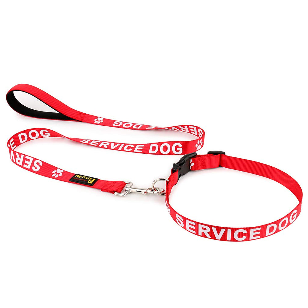 Plutus Pet chien portant collier réduit interruptions et interactions