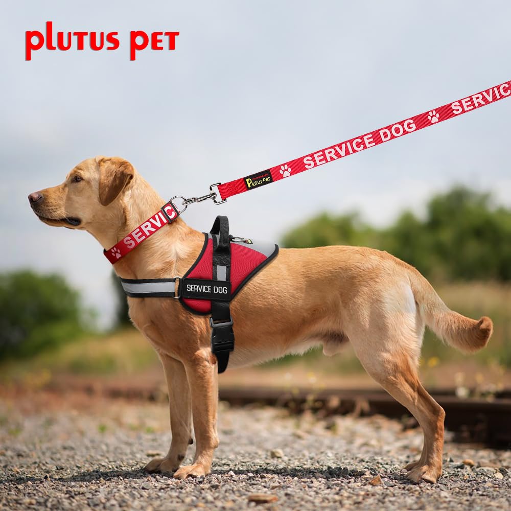Plutus Pet comparaison taille montre réglage adapté et ergonomie