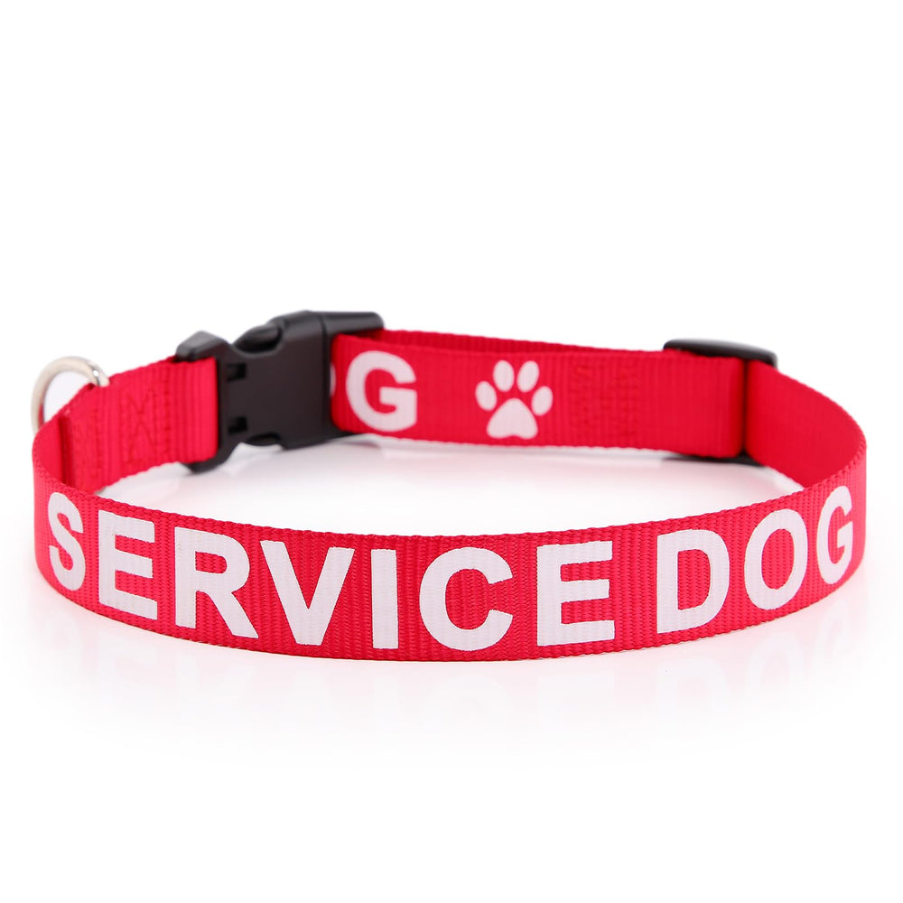 Plutus Pet collier devant rouge visible pour signaler chien de service