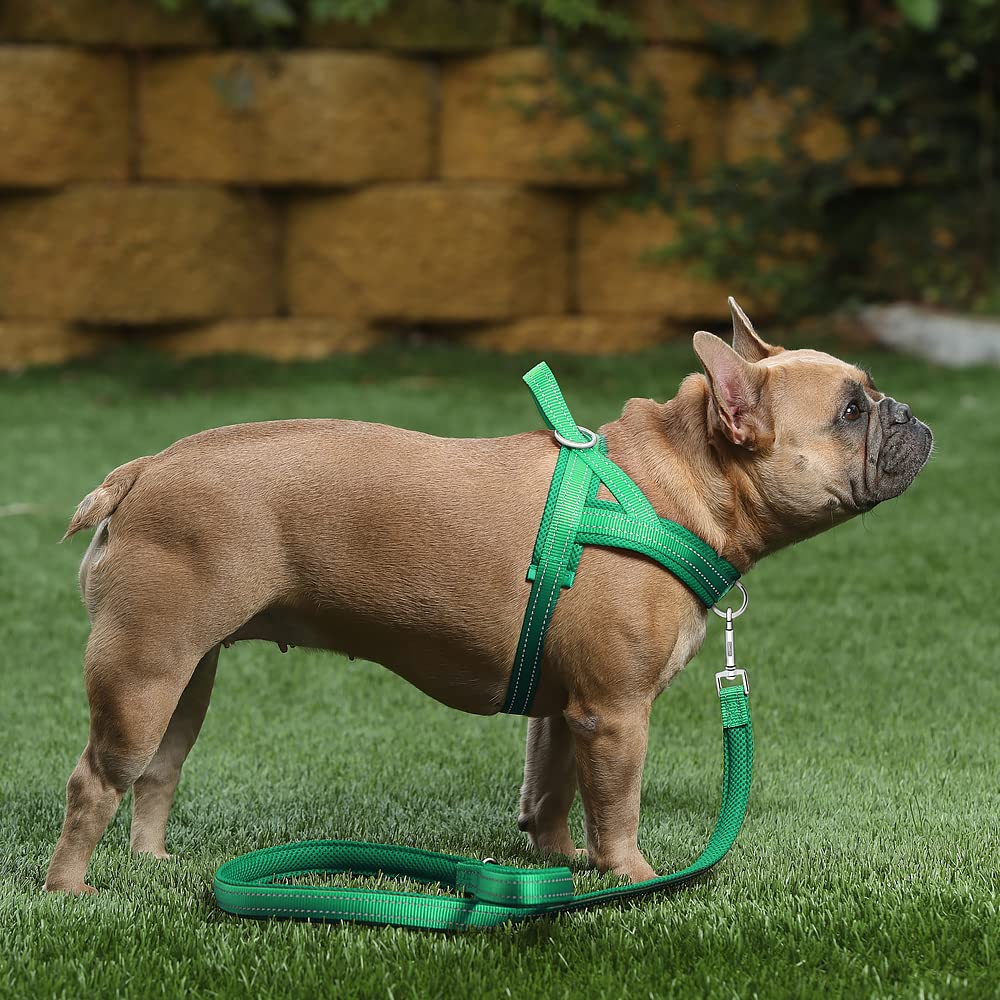 PLUTUS PET coutures réfléchissantes visibles la nuit pour meilleure sécurité