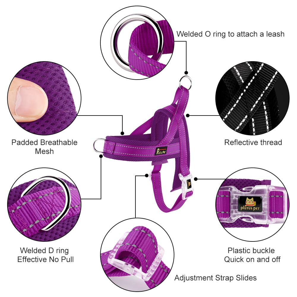 Plutus Pet gros plan sur mesh rembourré offrant ventilation et douceur