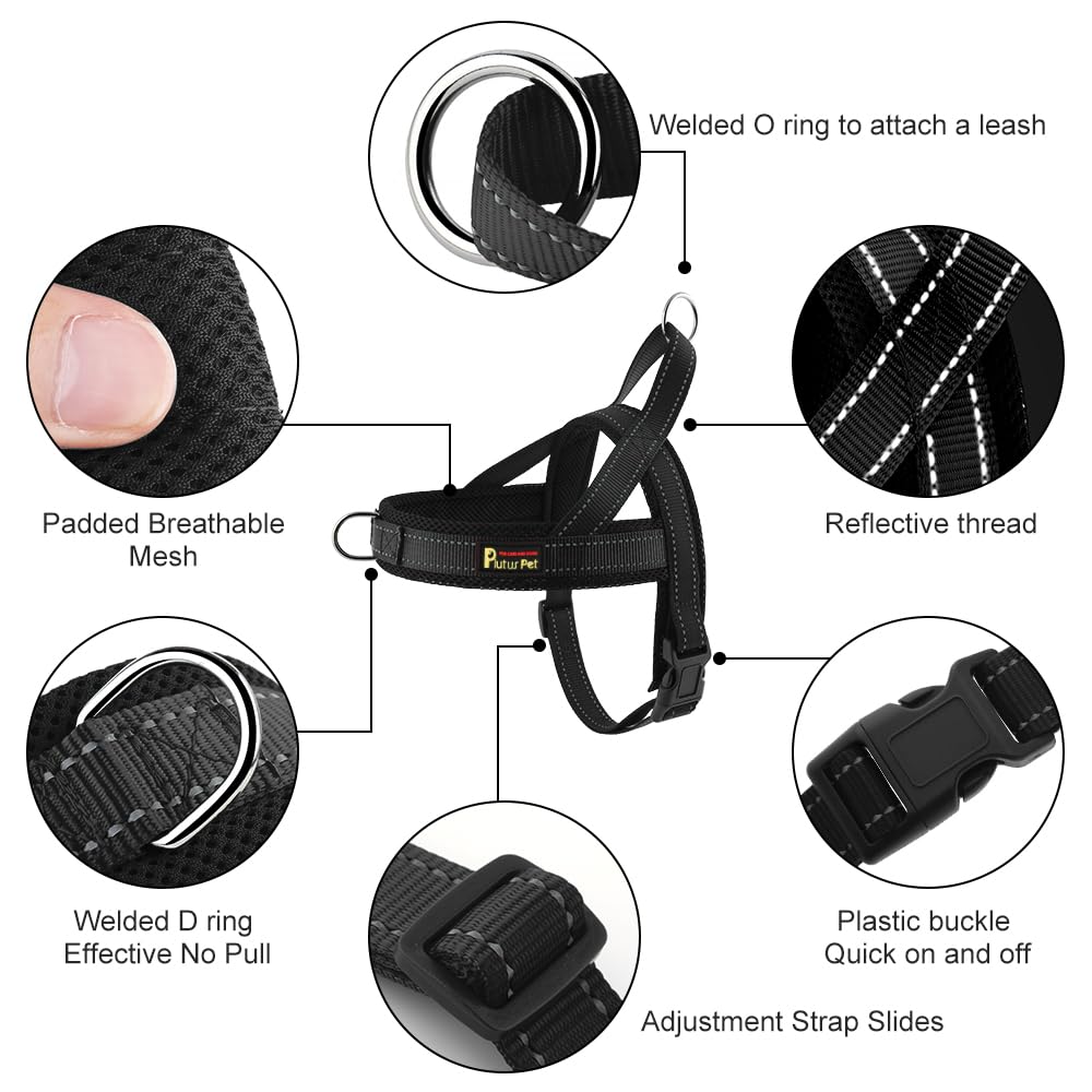 PLUTUS PET dos du harnais montrant l’O-ring pour promenades détendues