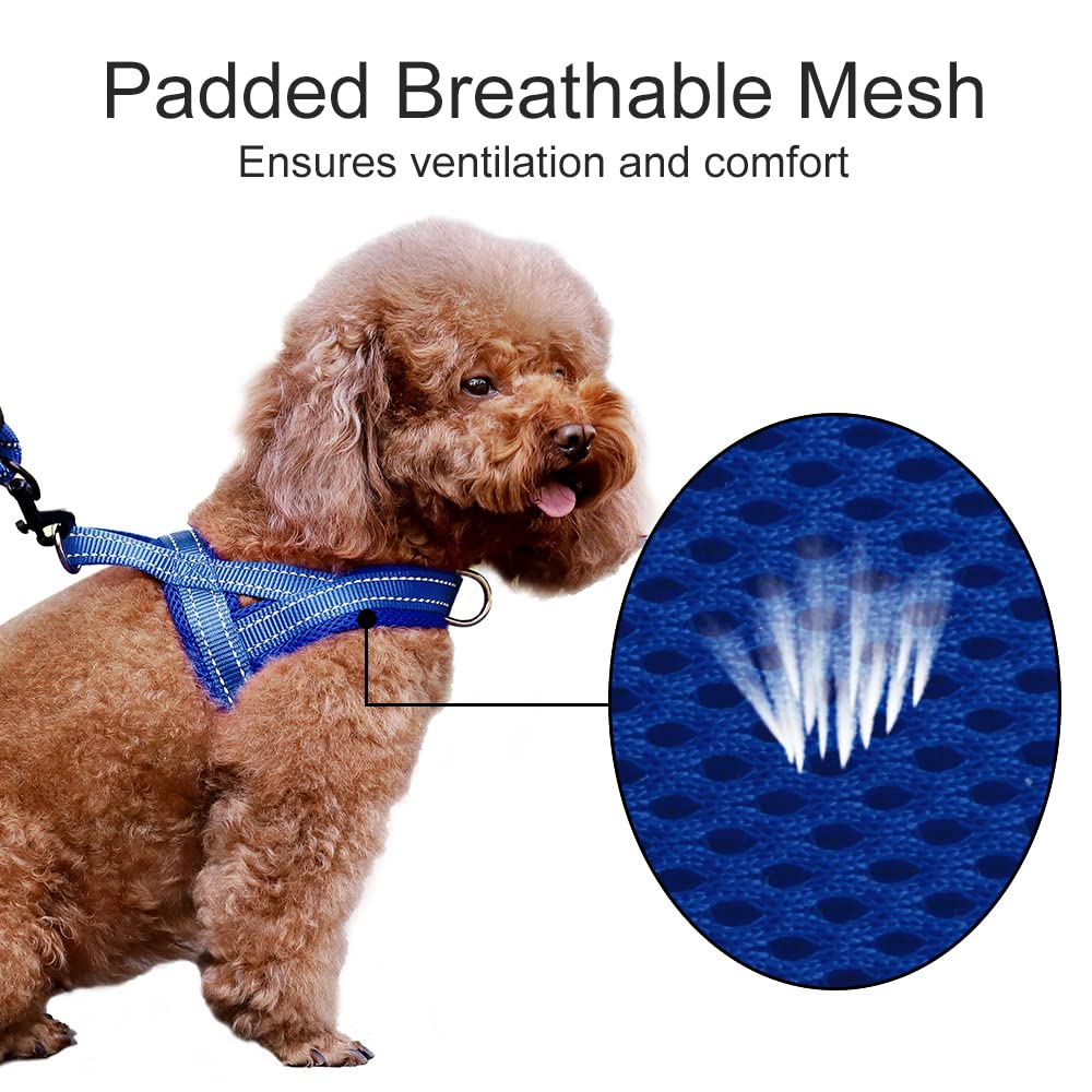 PLUTUS PET anneau en D frontal renforcé et sangle nylon durable pour contrôle