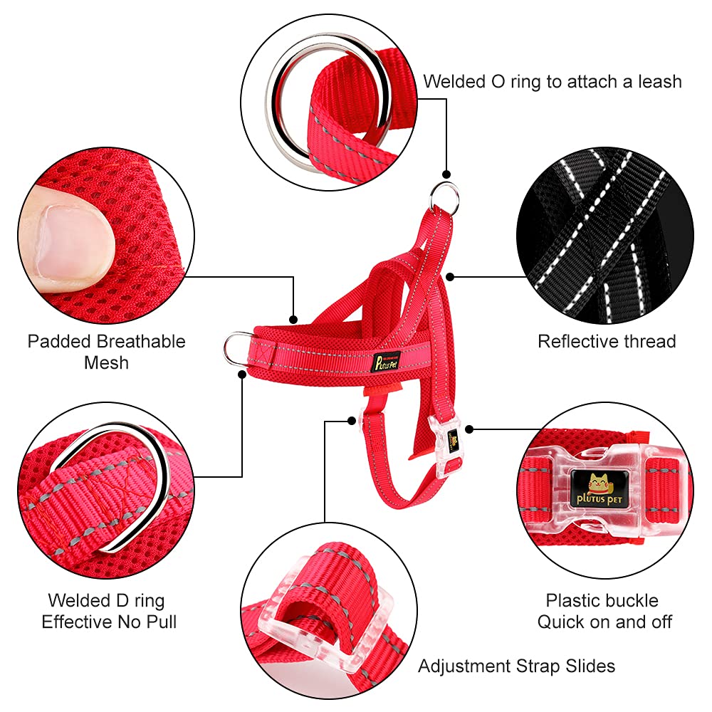 PLUTUS PET gros plan sur mesh rembourré offrant confort respirant