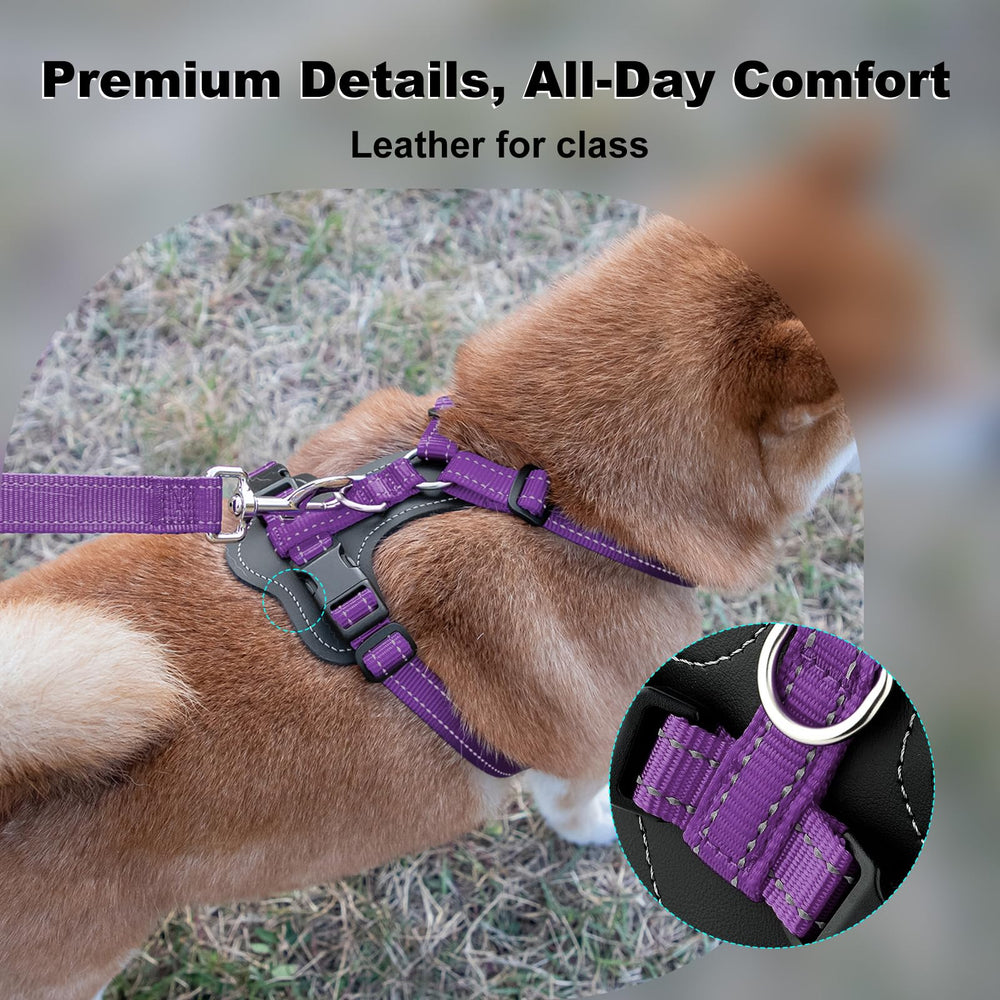 PLUTUS PET détails en cuir renforcé style et résistance