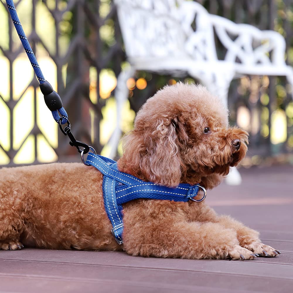 PLUTUS PET comparaison taille montrant ajustement et guide pour choisir la taille