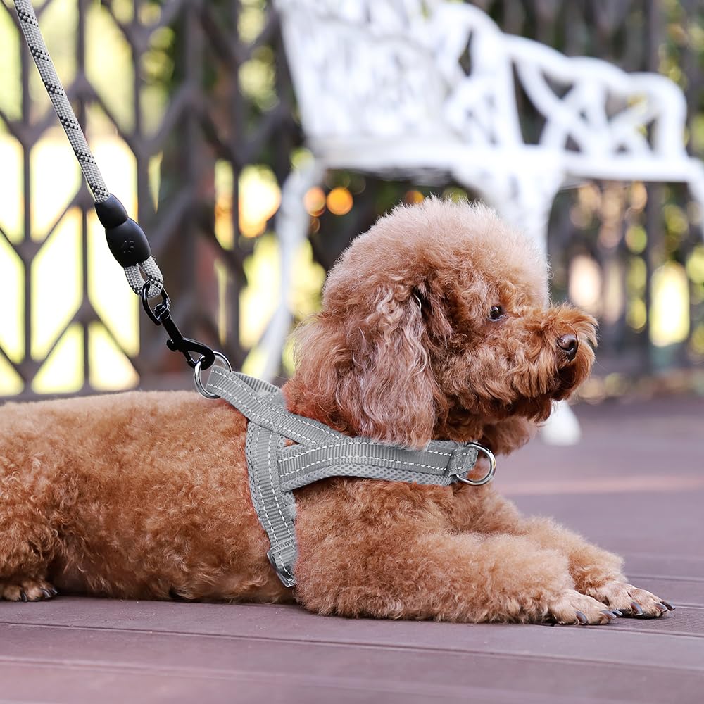 PLUTUS PET harnais comparaison taille échelle pour choisir la bonne taille