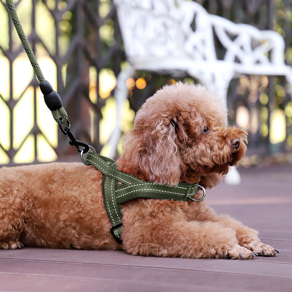 Plutus Pet harnais porté lors d'une promenade pour contrôle et confort