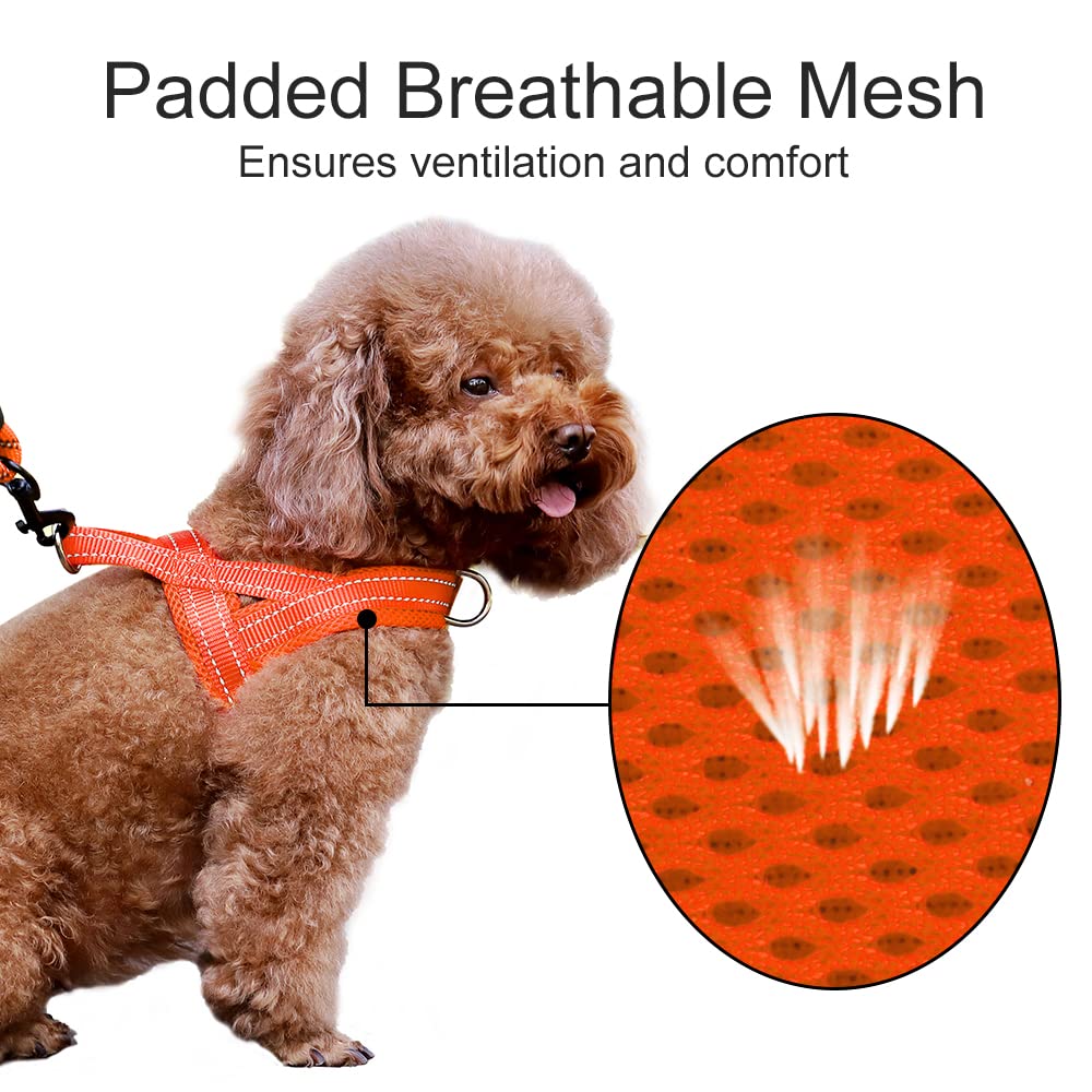 PLUTUS PET chien en promenade utilisant harnais pour meilleur contrôle