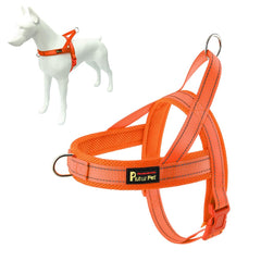 PLUTUS PET harnais face avant montrant clip frontal et maintien sûr