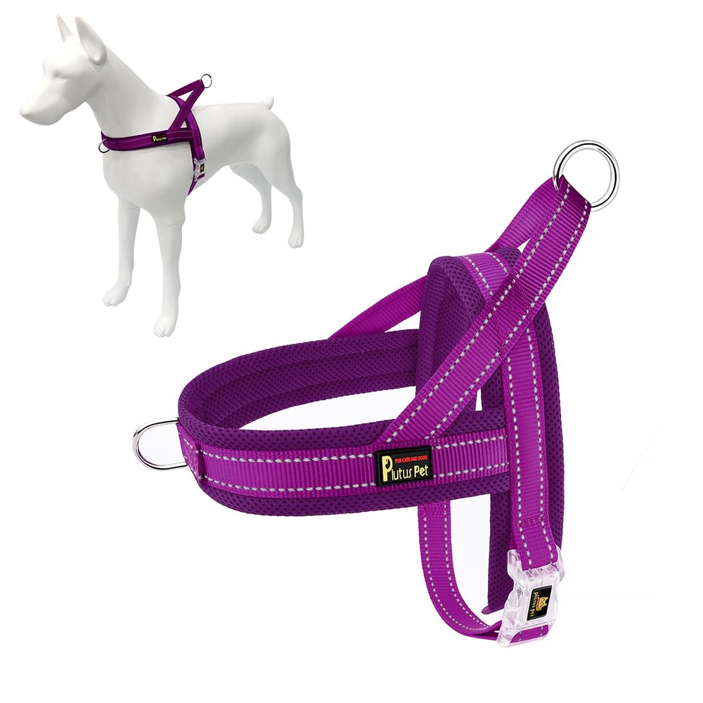 Plutus Pet harnais face avant montrant le design step-in et confort