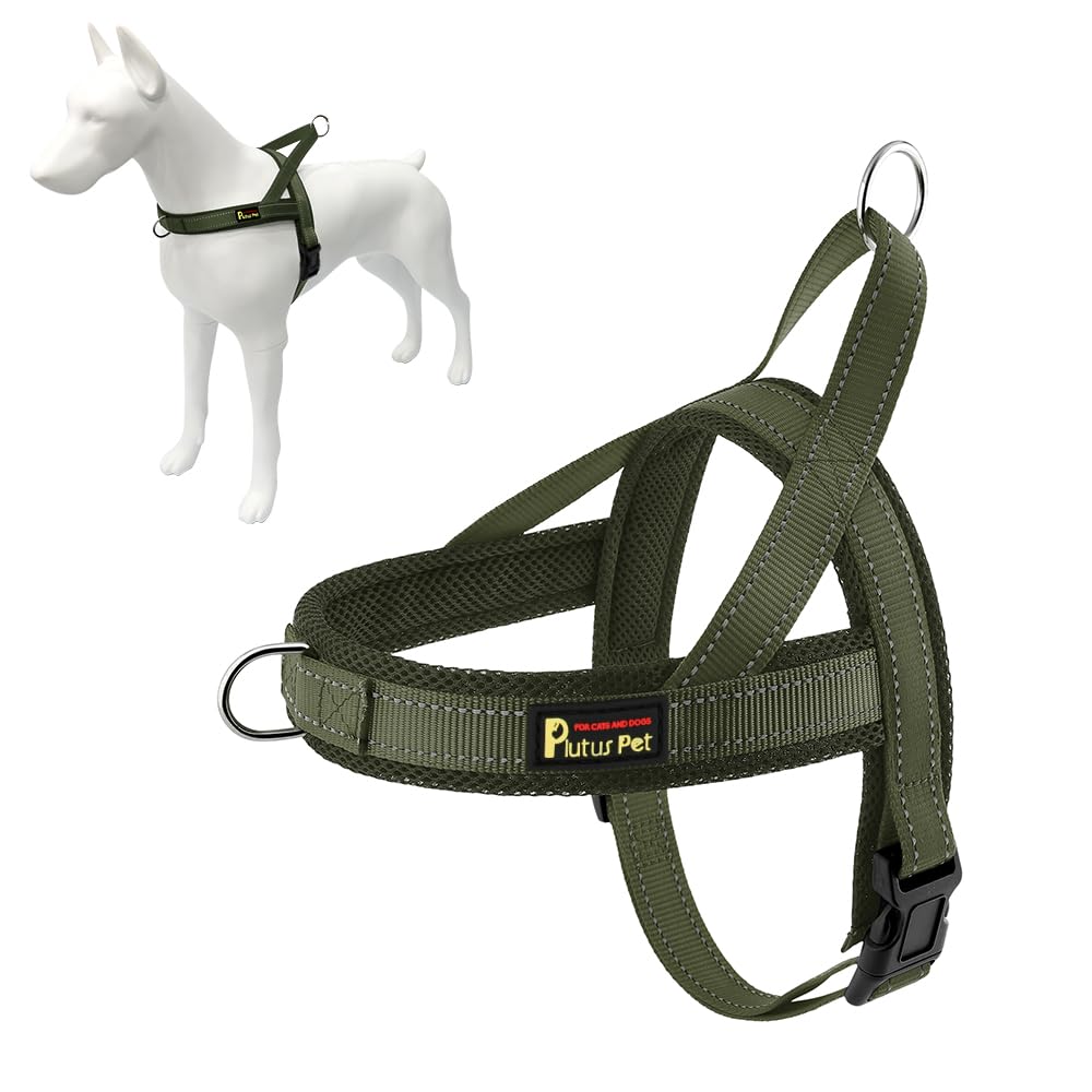 Plutus Pet harnais face avant montrant coupe et ajustement confortable