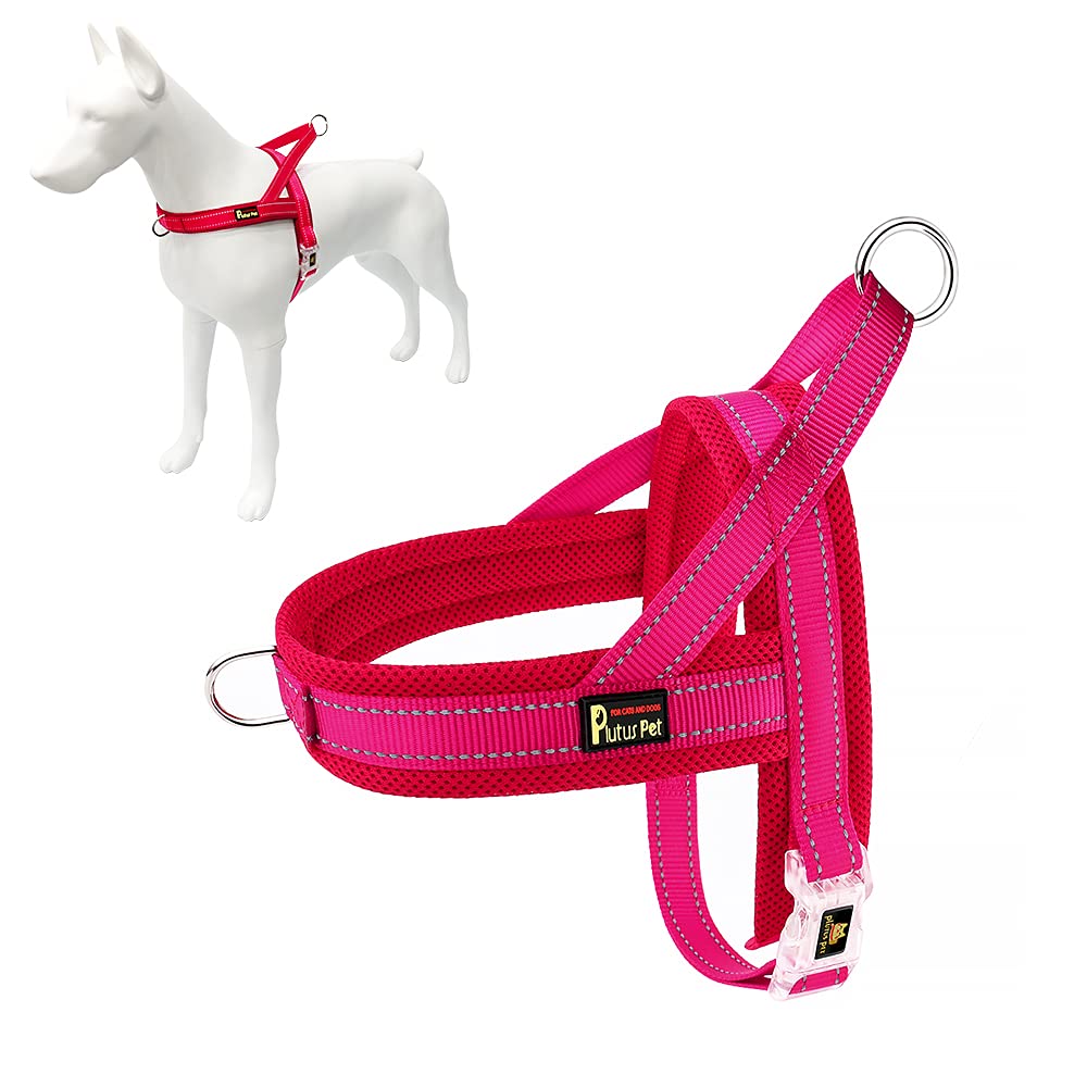 PLUTUS PET harnais face montrant ajustement et confort