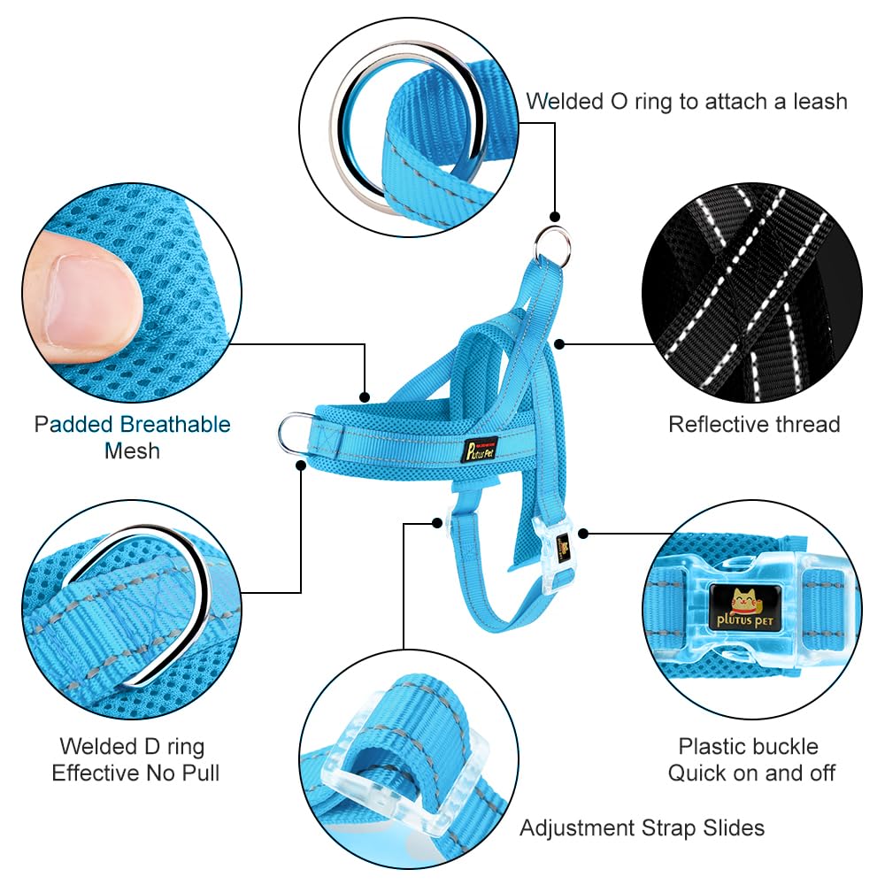PLUTUS PET gros plan mesh rembourré pour meilleure ventilation