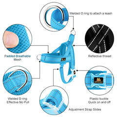 PLUTUS PET gros plan mesh rembourré pour meilleure ventilation