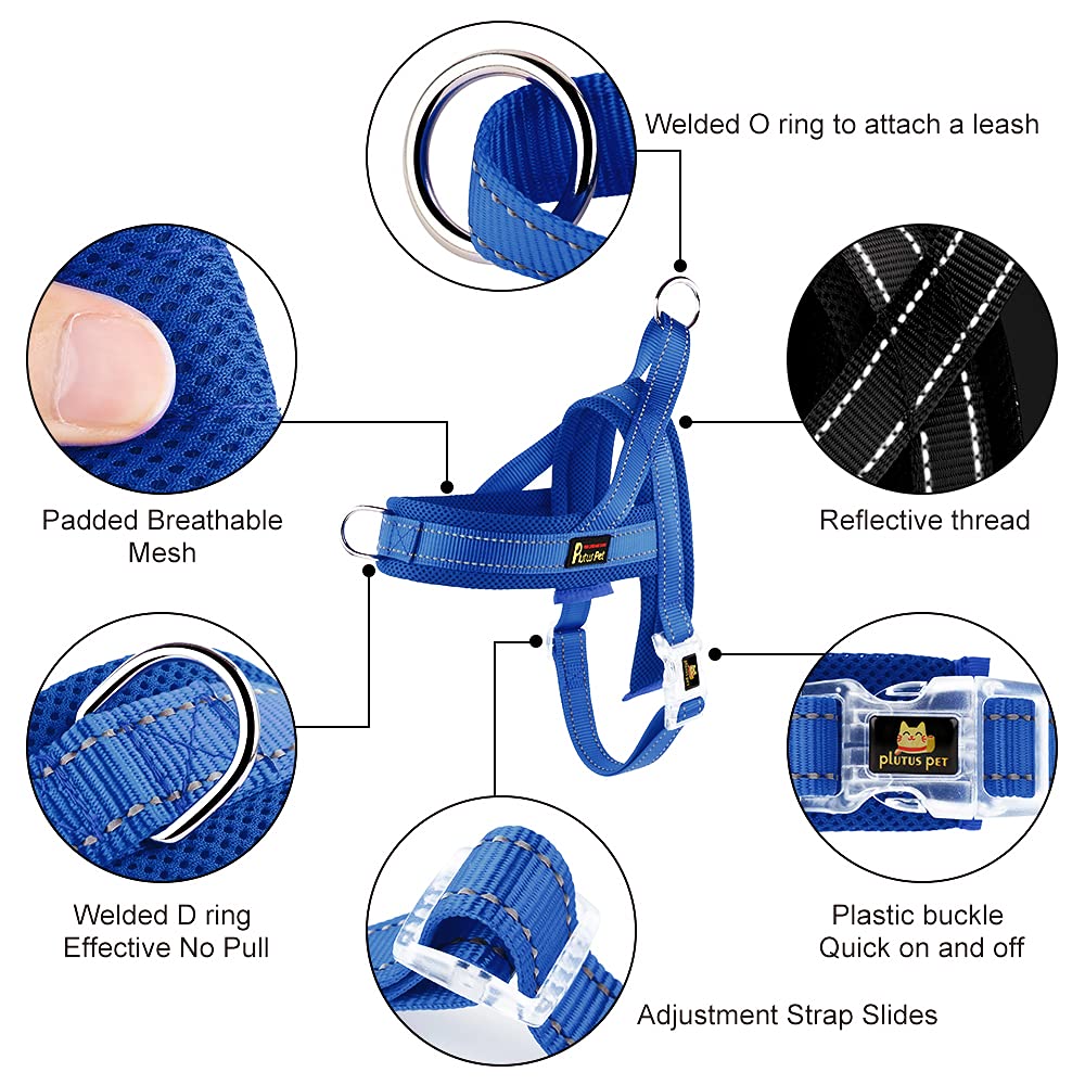PLUTUS PET gros plan maille respirante et rembourrage pour ventilation