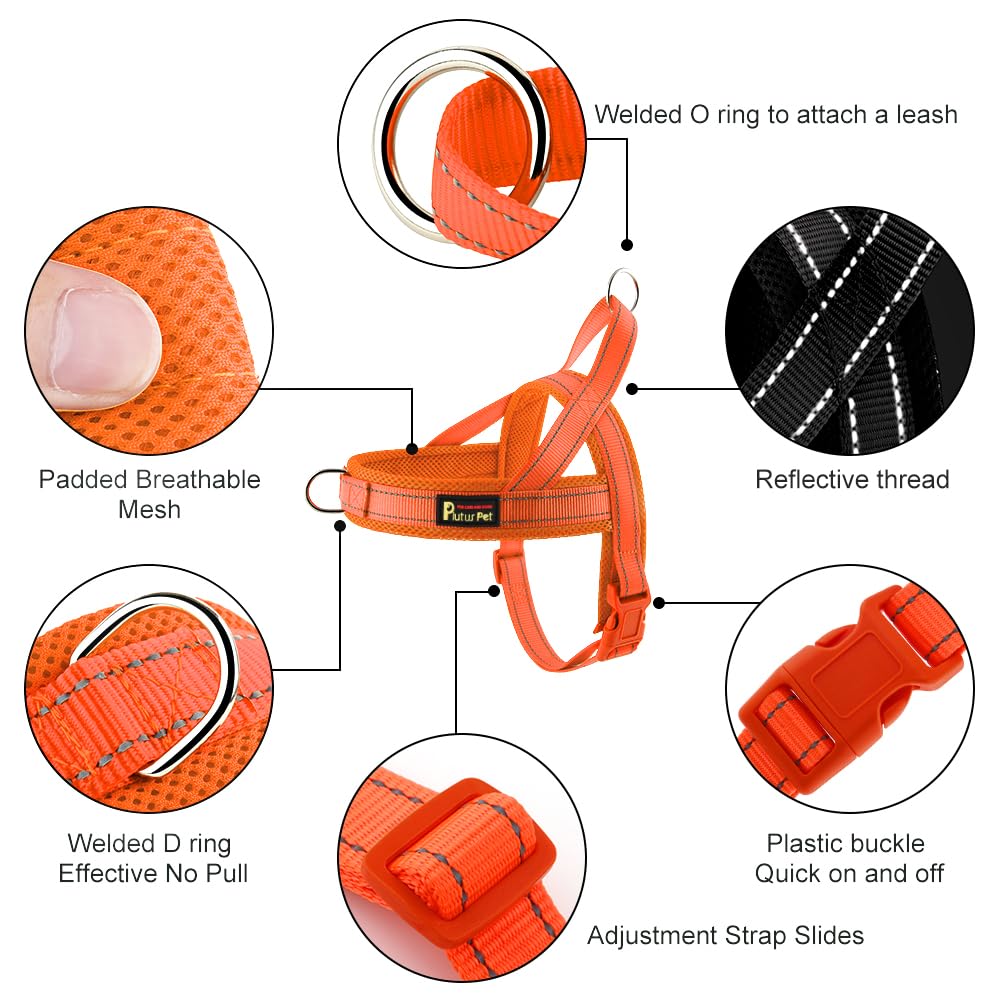 PLUTUS PET gros plan mesh rembourré pour confort et ventilation