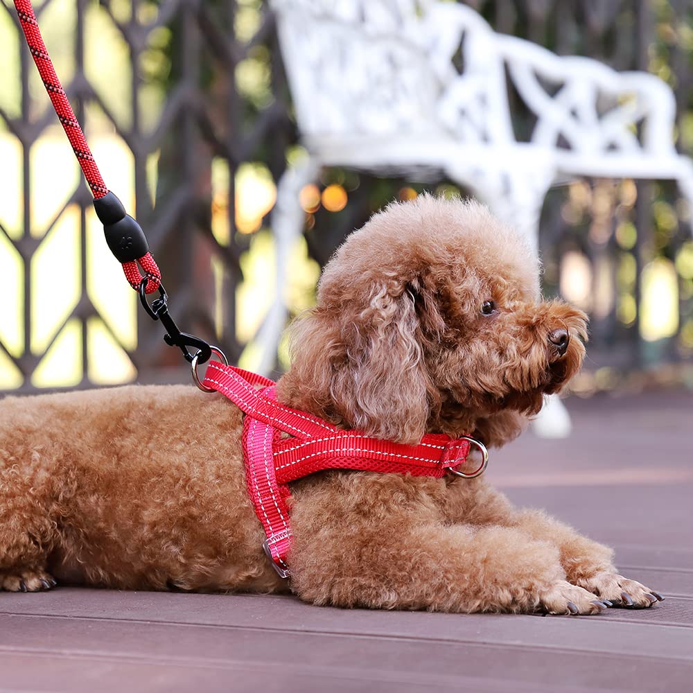 PLUTUS PET harnais en promenade nocturne avec coutures réfléchissantes