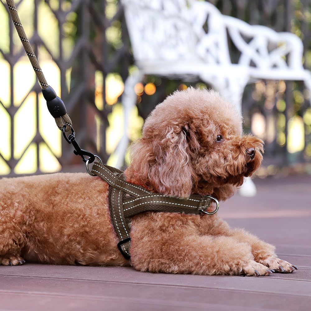 Plutus Pet coutures réfléchissantes améliorant visibilité nocturne