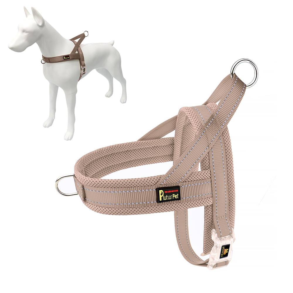Plutus Pet vue avant du harnais montrant maintien et confort
