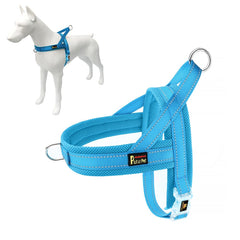 PLUTUS PET harnais vue face montrant clip avant et confort