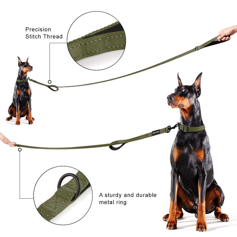 Plutus Pet laisse utilisée en ville montrant contrôle rapproché du chien