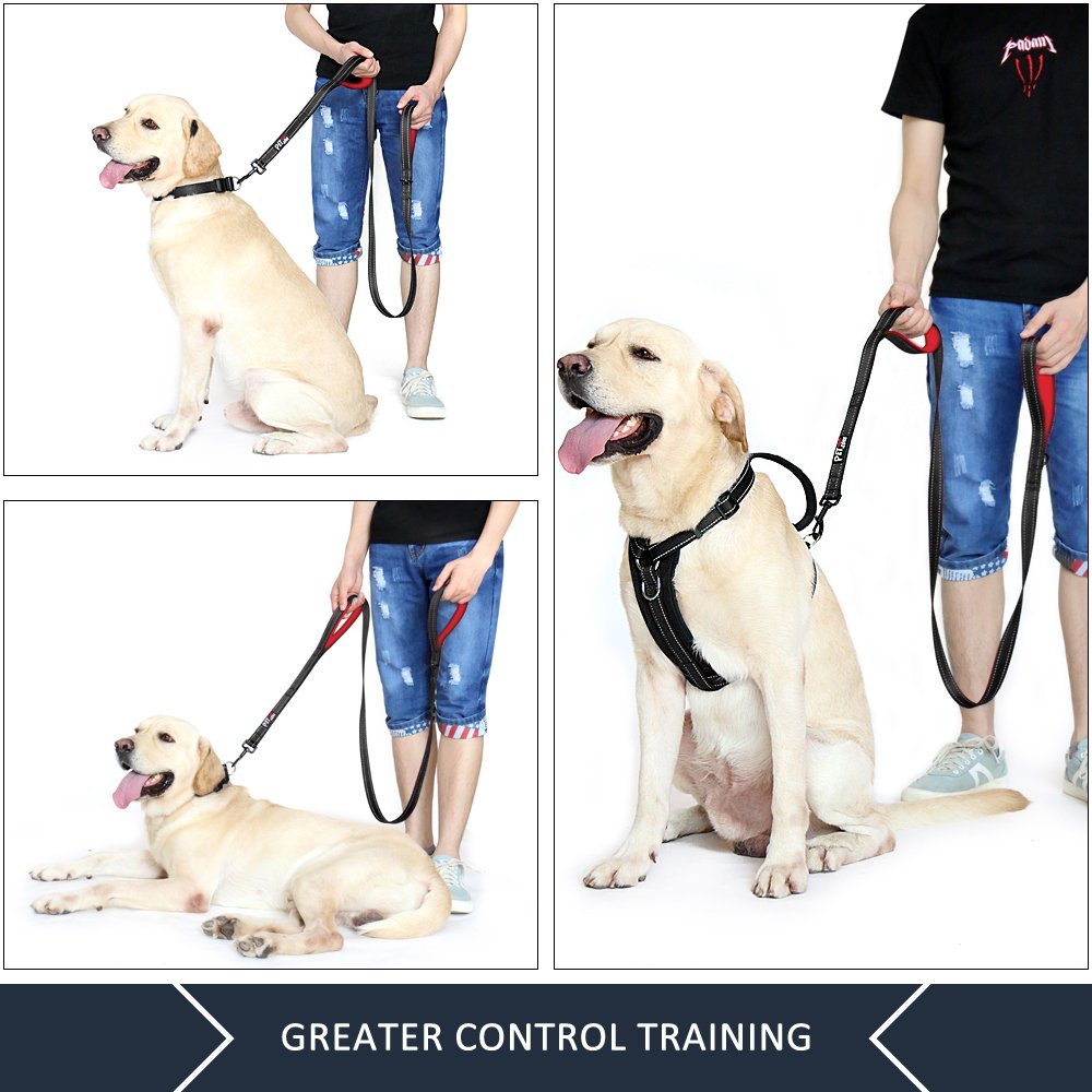 PLUTUS PET poignée standard en néoprène confortable pour longues promenades