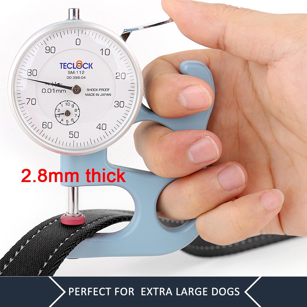 PLUTUS PET sangle nylon montrant texture durable et séchage rapide