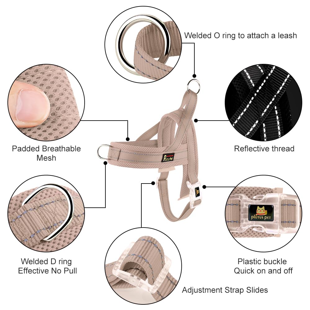 Plutus Pet gros plan mesh respirant garantissant ventilation