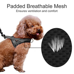 PLUTUS PET gros plan du mesh rembourré offrant confort et ventilation