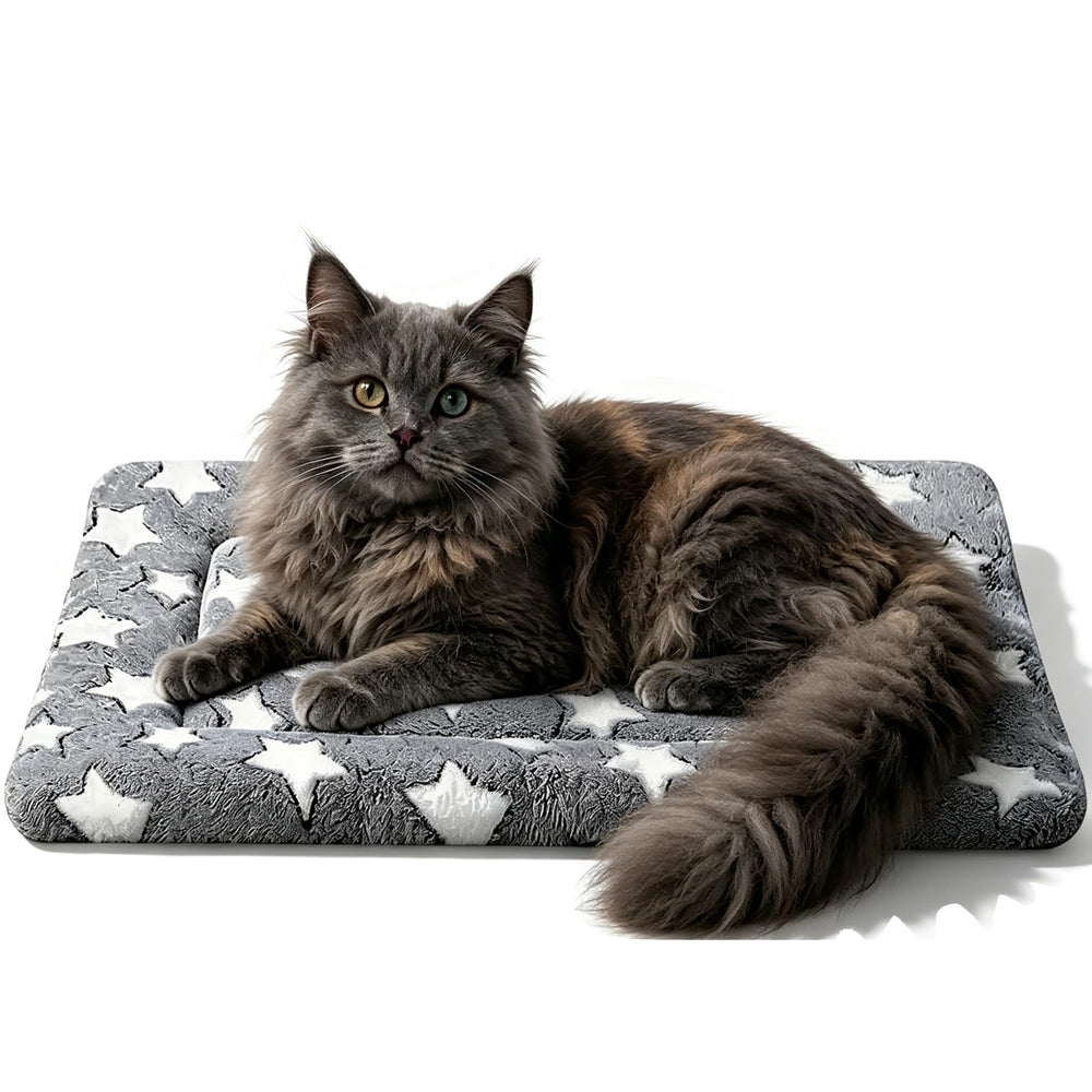 pobopobo tapis face avant montrant coupe et forme confortable