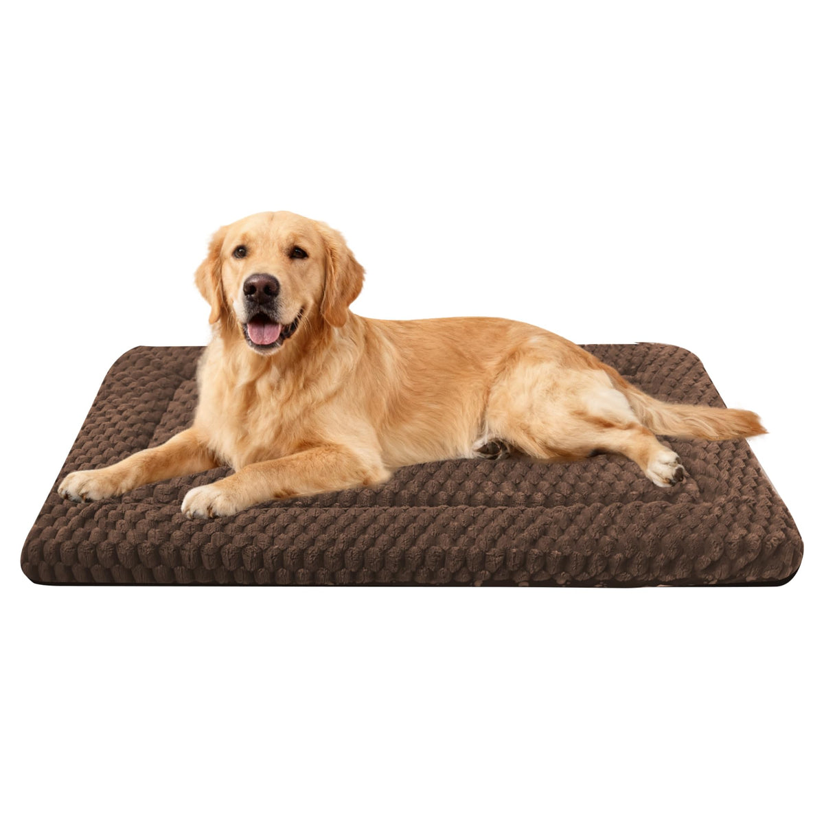 pobopobo face peluche montrant confort et chaleur